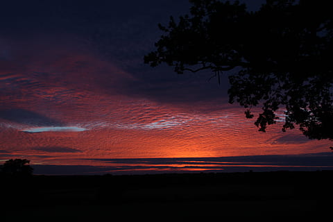 solnedgang, england, himmel, uk, skyer, landskab, storbritannien, Europa, farverig, skumring, aften, levende, sommer, dramatisk, natur, sky - himmel, skønhed i naturen, træ, scenics - natur, silhuet, plante, ro, ingen mennesker, rolig scene, orange farve, nat, miljø, udendørs, dramatisk himmel, mørk, jord, idyllisk, romantisk himmel, 4K, CC0, offentligt domæne, royaltyfrie