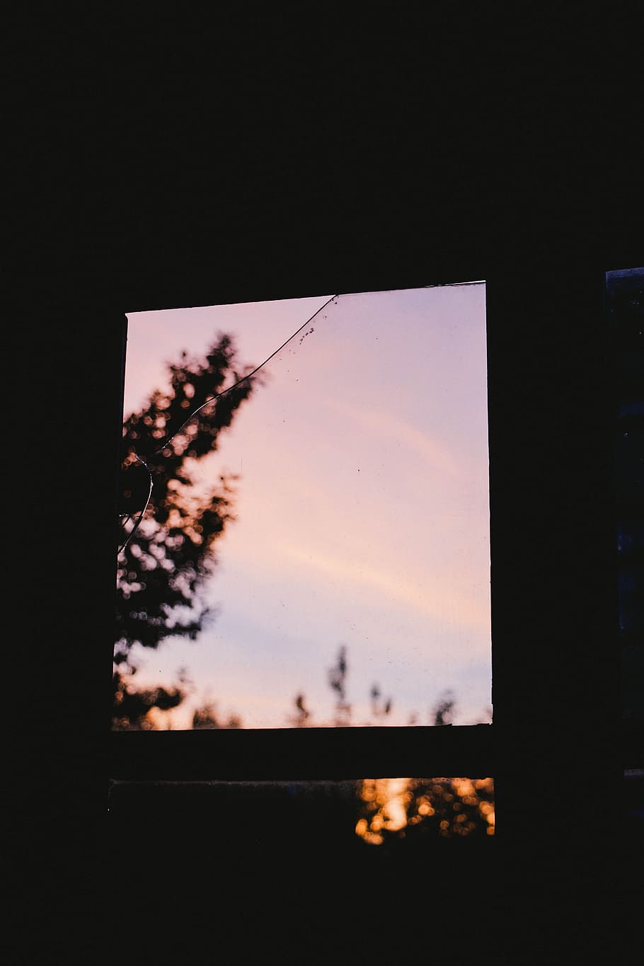 fotografia de finestra, sense títol, tret macro, vidre de la finestra, arbre, fosc, finestra, naturalesa, color negre, a l'aire lliure, cel, posta de sol, silueta, cap gent, transparent, vidre - material, a l'interior, còpia espai, arquitectura, estructura construïda, planta, llum solar, primer pla, núvol - cel, bellesa a la natura, 5K