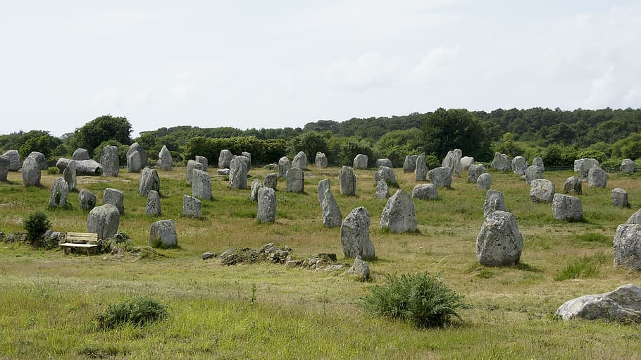 carnac, alineacions, bretaña, antic, Anglaterra, història, megalit, UK, el passat, lloc famós, arqueologia, vell, Edat de Pedra, cementiri, làpida, memorial, tomba, dia, cap gent, planta, herba, cel, naturalesa, sòlid, terra, temes d'animals, animal, camp, a l'aire lliure, arbre, grup d’animals, fauna animal, rock - object, animals a la natura, 4K
