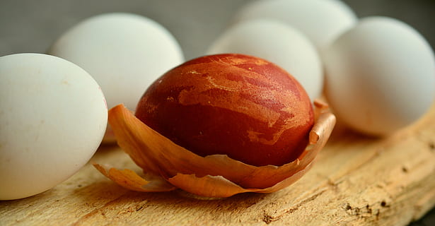 brown, nut, beside, five, white, eggs, egg, easter egg, onion skins, dye easter eggs, colors of nature, easter eggs, color, chicken eggs, food and drink, food, breakfast, indoors, no people, easter, studio shot, close-up, freshness, healthy eating, wood - material, wellbeing, table, organic, still life, group of objects, simplicity, selective focus, cutting board, nature, medium group of objects, animal egg, wood grain, snack, 5K, CC0, public domain, royalty free