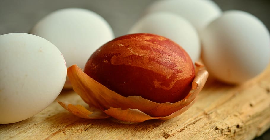 marró, nou, al costat, cinc, blanc, ous, ou, ou de Pasqua, pells de ceba, tenyeu els ous de Pasqua, colors de la natura, ous de Pasqua, color, ous de pollastre, menjar i beguda, menjar, esmorzar, a l'interior, cap gent, Pasqua, tir de l'estudi, primer pla, frescor, alimentació saludable, material de fusta, benestar, taula, orgànic, natura morta, grup d'objectes, senzillesa, enfocament selectiu, taula de tallar, naturalesa, grup mitjà d'objectes, ous d’animals, gra de fusta, berenar, 5K
