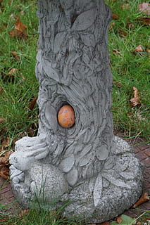 velikonoční, vejce, jaro, Příroda, duben, rostlina, přistát, den, tráva, růst, nikdo, jídlo, pole, oranžová barva, strom, venku, detail, kmen stromu, vysoký úhel pohledu, kufr, jídlo a pití, Zdravé stravování, houba, muchomůrka, 4K, CC0, veřejná doména, bez autorských práv