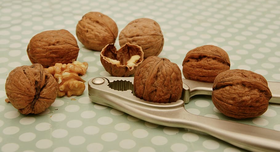 fruits de cajú marrons, nous, trencaclosques, bol de fruita, fruits secs, crack, obert, cua de nou, shell, esquerdat, menjar i beguda, menjar, cap gent, taula, menjar dolç, a l'interior, primer pla, pansa, casolà, alimentació saludable, frescor, natura morta, benestar, noguera, nou, indulgència, al forn, nou - aliments, temptació, vista d’angle alt, llest per menjar, marró, safata, berenar, esmorzar, 5K