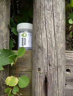 official bedcache container, Geocache, Geocaching, Cache, Micro, logbook, hiding place, search, to find, adventure, coordinates, play, box, treasure hunt, leaf, outdoors, day, ivy, no people, tree, wood - material, plant, growth, plant part, nature, trunk, tree trunk, close-up, green color, hanging, barrier, boundary, fence, built structure, focus on foreground, 4K, CC0, public domain, royalty free