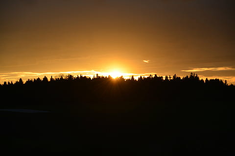 gul, solnedgang, himmel, skyer, natur, sol, kveld, landskap, kveldshimmel, vær stemning, grener, mørk, romantisk, silhouette, naturskjønnhet - natur, skjønnhet i naturen, ro, rolig scene, sollys, miljø, tre, idylliske, anlegg, ingen folk, oransje farge, dramatisk himmel, sky - himmel, bakgrunnsbelyst, utendørs, lys, 5K, CC0, offentlig domene, opphavsrett gratis
