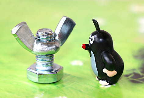 Topo, tornillo, nuez, sujetadores, hilo, encontrar, dibujos animados, construcción, color verde, nadie, de cerca, naturaleza muerta, centrarse en primer plano, metal, día, adentro, naturaleza, de color negro, dos objetos, enfoque selectivo, sombra, mesa, grifo, grupo de objetos, hierba, representación, figurilla, luz del sol, color plateado, 2K, CC0, dominio público, libre de derechos