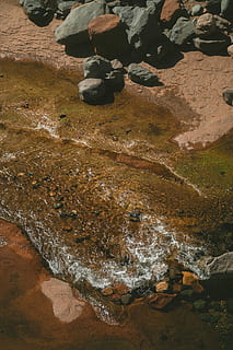 Antenne, Fotografie ansehen, See, Strom, neben, Felsen, Fotografie, Rock, Wasser, Pfütze, fließen, solide, Rock - Objekt, keine Leute, Natur, High Angle View, Tag, Land, Schönheit in der Natur, Ruhe, draußen, Stein, Strand, Felsformation, Moos, Nahansicht, Bewegung, ruhige Szene, fließendes Wasser, flach, 5K, CC0, gemeinfrei, lizenzfrei
