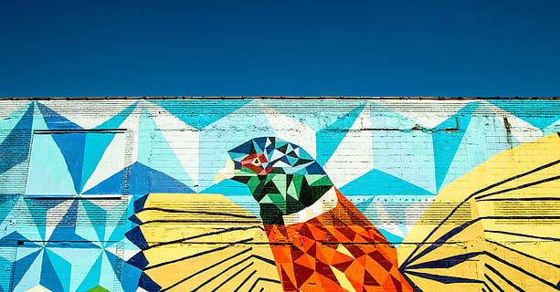 mural ptasi, dzień, żółty, Pomarańczowy, turkusowy ptak, abstrakcyjny, obraz, wolny, Ściana, niebieski, niebo, flaga, wielobarwne, tylko jeden człowiek, jedna osoba, tylko dla dorosłych, dorosły, ludzie, młody dorosły, fresk, kreatywność, czyste Niebo, graffiti, Natura, sztuki i rzemiosła, przedni widok, mężczyźni, wzór, na dworze, kopia przestrzeń, światło słoneczne, 5K, CC0, domena publiczna, darmowe zdjęcia