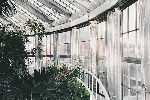 clădire, structura, infrastructură, fereastră, stabilire, hotel, oraș, urban, arhitectură, artă, plantă, creştere, construită, în interior, zi, nici o persoana, seră, natură, sticlă - material, Culoarea verde, tavan, montare pe perete, copac, transparent, botanică, plante pepinieră, plafonul de acoperiș, 5K, CC0, domeniu public, fără drepturi de autor