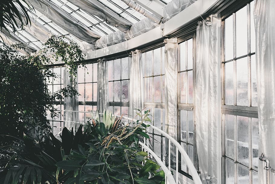 clădire, structura, infrastructură, fereastră, stabilire, hotel, oraș, urban, arhitectură, artă, plantă, creştere, construită, în interior, zi, nici o persoana, seră, natură, sticlă - material, Culoarea verde, tavan, montare pe perete, copac, transparent, botanică, plante pepinieră, plafonul de acoperiș, 5K