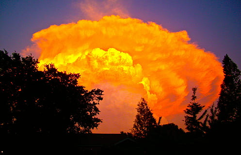 silhouette, trees, orange, clouds, fire, sunset, sky, heaven, at dusk, cloudy, red, twilight, abendstimmung, mood, fiery, burning, nature, orange Color, tree, outdoors, plant, beauty in nature, cloud - sky, no people, scenics - nature, environment, forest, tranquility, heat - temperature, communication, growth, low angle view, tranquil scene, power in nature, 2K, CC0, public domain, royalty free