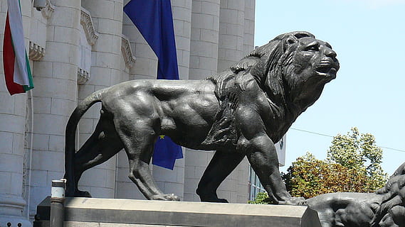 lion, statue, sofia, courthouse in sofia, sculpture, art and craft, mammal, architecture, domestic animals, representation, animal wildlife, creativity, built structure, day, building exterior, domestic, no people, human representation, craft, horse, 1080P, CC0, public domain, royalty free