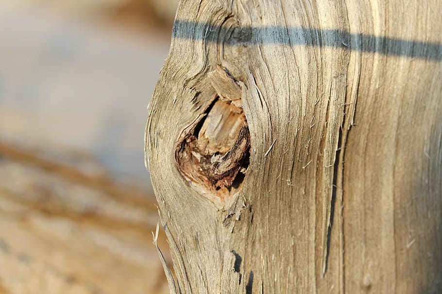 pást se, strom, knothole, log, dřevo, Příroda, kmen, pokroucený, struktura, strom oči, hnědý, uzlů, dřevo - materiál, detail, texturou, den, kmen stromu, nikdo, zaměřit se na popředí, hrubý, vzor, kufr, zvětralý, venku, vázané dřevo, pozadí, rostlina, prasklý, nehet, kůra, 5K