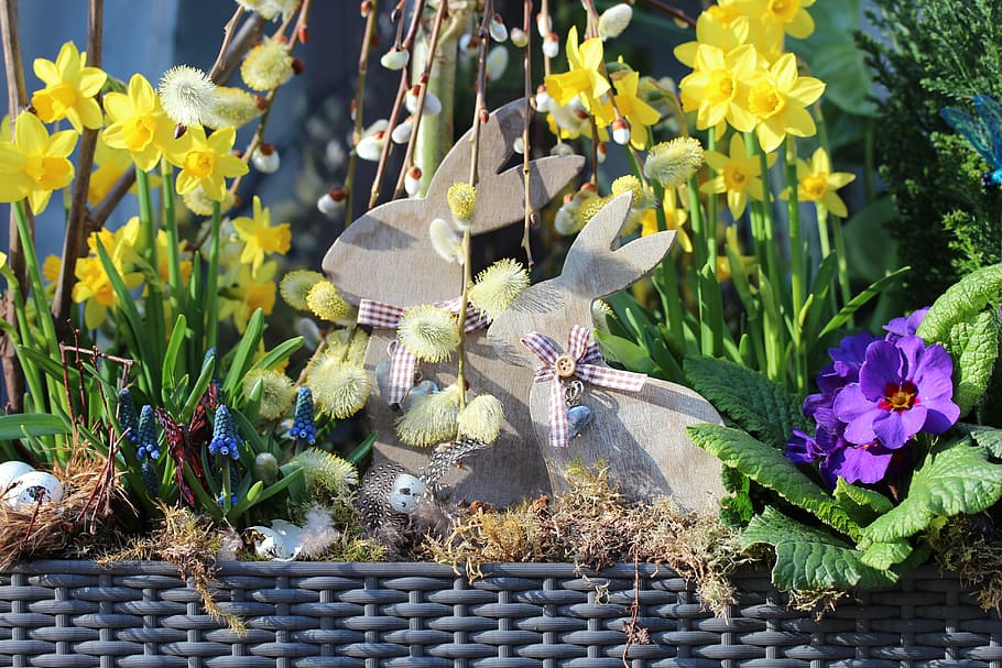 Weidenkätzchen, Narzisse, Anemonenblumengesteck, Ostern, Frühling, Blume, Gelb, Hase, Blumenkasten, Pflanze, Tag, Natur, Frische, keine Leute, blühende Pflanze, Wachstum, Verletzlichkeit, Schönheit in der Natur, Zerbrechlichkeit, Blütenblatt, Blütenkopf, Nahansicht, Sonnenlicht, Blütenstand, Garten, draußen, Botanik, Kreativität, 5K