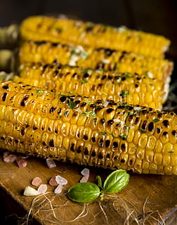 maíz dulce a la parrilla, A la parrilla, maíz dulce, maíz, vegetal, vegetales, amarillo, comida, de cerca, frescura, orgánico, alimentación saludable, agricultura, naturaleza, comida vegetariana, maíz en la mazorca, comida y bebida, nadie, adentro, bienestar, hoja, parte de la planta, naturaleza muerta, planta, centrarse en primer plano, listo para comer, mesa, animal, 5K, CC0, dominio público, libre de derechos