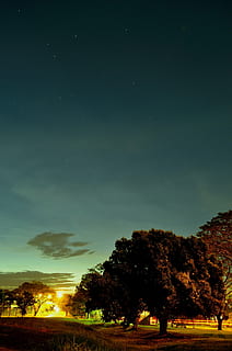 clouds, dawn, dusk, grass, landscape, outdoors, sky, sun, trees, nature, night, scenics - nature, tree, beauty in nature, plant, tranquility, star - space, tranquil scene, field, space, environment, no people, land, astronomy, idyllic, non-urban scene, green color, 1080P, CC0, public domain, royalty free