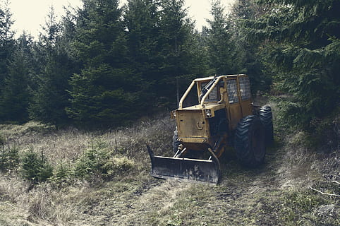 โหลดด้านหน้า, สีเขียว, หญ้า, สีเหลือง, payloader, ต้นไม้, รถแทรกเตอร์, รถปราบดิน, การก่อสร้าง, การจัดสวน, ป่า, ตัดไม้ทำลายป่า, ชนบท, ฟาร์ม, Forrest, สาขา, ปั้น, เกรด, ปลูก, ที่ดิน, ธรรมชาติ, วัน, การเจริญเติบโต, สนาม, ไม่มีคน, เครื่องจักรกล, กลางแจ้ง, ภูมิประเทศ, อุปกรณ์การเกษตร, การขนส่ง, อุตสาหกรรม, ยานพาหนะบก, สิ่งแวดล้อม, โหมดการขนส่ง, 4K, CC0, โดเมนสาธารณะ, ค่าลิขสิทธิ์ฟรี