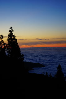 západ slunce, dosvit, nebe, mraky, selva námořní, tenerife, Kanárské ostrovy, stromy, koruny stromů, scenics - příroda, krása v přírodě, klid, klidné scény, strom, voda, silueta, rostlina, Příroda, moře, nikdo, idylický, horizont, horizont nad vodou, mrak - nebe, oranžová barva, kopie prostor, venku, 5K, CC0, veřejná doména, bez autorských práv