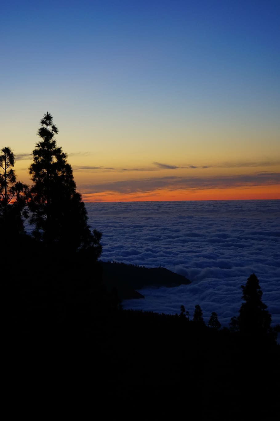 západ slunce, dosvit, nebe, mraky, selva námořní, tenerife, Kanárské ostrovy, stromy, koruny stromů, scenics - příroda, krása v přírodě, klid, klidné scény, strom, voda, silueta, rostlina, Příroda, moře, nikdo, idylický, horizont, horizont nad vodou, mrak - nebe, oranžová barva, kopie prostor, venku, 5K