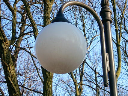 udskiftning, lampe, lys, belysning, udskiftningslampe, bare træ, træ, hængende, ingen mennesker, lav vinkel visning, dag, plante, afdeling, himmel, natur, belysningsudstyr, sfære, træstamme, dekoration, bagagerum, udendørs, tæt på, blå, metal, vækst, 4K, CC0, offentligt domæne, royaltyfrie