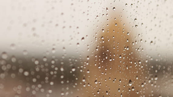 dew, drops, glass panel, water, closeup, photography, rain, wet, window, indoors, drop, no people, backgrounds, close-up, day, full frame, food and drink, drink, glass - material, nature, selective focus, condensation, abundance, refreshment, extreme close-up, clean, raindrop, 1080P