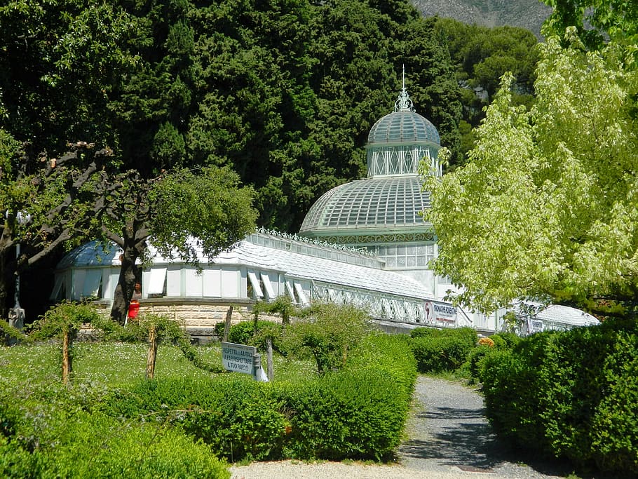 natura, primavera, giardino, albero, piante, pianta, architettura, struttura costruita, esterno dell'edificio, crescita, giorno, colore verde, cupola, destinazioni di viaggio, nessuno, all'aperto, giardino formale, costruzione, parco, viaggio, luce del sole, luogo di culto, 4K