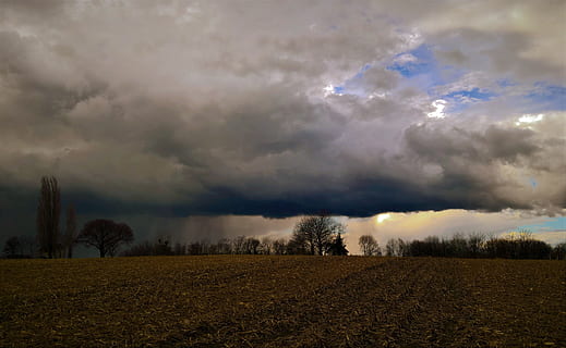 paisatge, principis de la primavera, primavera, tempesta, tempesta, núvols, tempesta, núvols, abans de la pluja, cel blau, camp, núvol - cel, cel, naturalesa, tranquil·litat, medi ambient, terra, escenics - natura, bellesa a la natura, arbre, planta, escena tranquil·la, cap gent, núvol de tempesta, núvol, agricultura, a l'aire lliure, fosc, ominós, meteorologia, 4K, CC0, domini públic, lliure de regalies