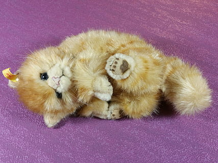chat, mensonge, rouge, steiff, original, animal, thèmes animaux, animaux domestiques, mammifère, national, violet, félin, un animal, relaxation, à l'intérieur, personne, chat domestique, vertébré, en train de dormir, allongé, fond violet, couleur rose, fermer, moustache, 4K, CC0, domaine public, libre de droits