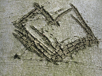 tre, bark, hjerte, gravert, kjærlighet, nærbilde, strukturert, ingen folk, rett over, tre - materiale, form, innendørs, stilleben, mønster, ujevn, design, trestamme, kreativitet, dag, natur, full ramme, bakgrunn, stamme, betong, teksturert effekt, 2K, CC0, offentlig domene, opphavsrett gratis