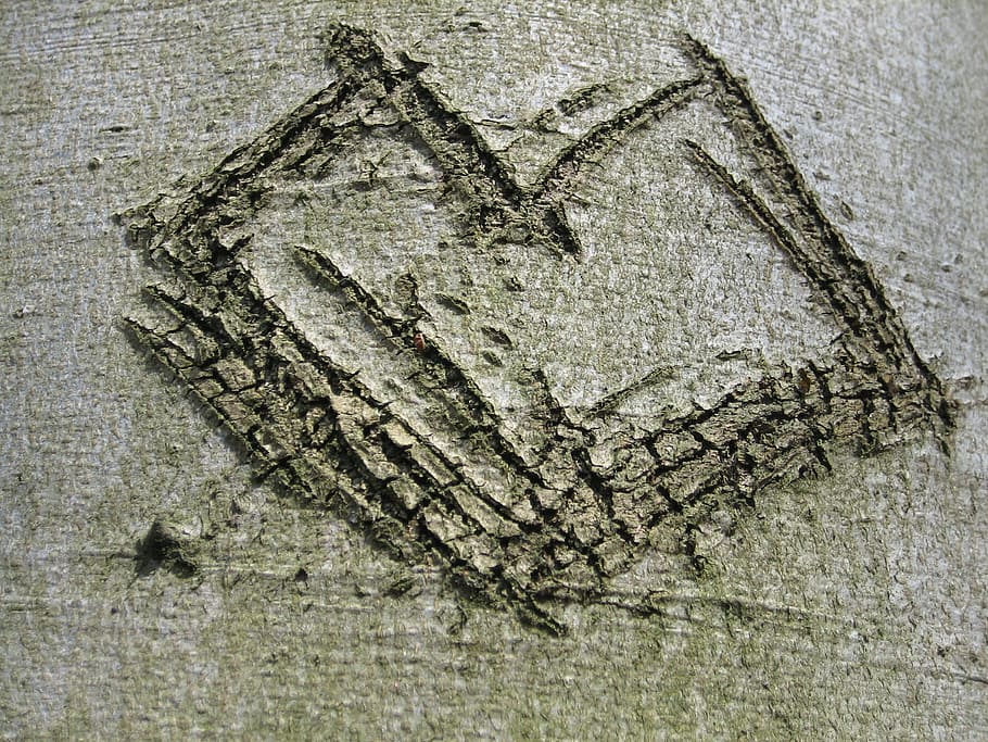 albero, abbaiare, cuore, inciso, amore, avvicinamento, strutturato, nessuno, direttamente sopra, legno - materiale, forma, in casa, natura morta, modello, ruvido, design, tronco d'albero, creatività, giorno, natura, fotogramma intero, sfondi, tronco, calcestruzzo, effetto strutturato, 2K