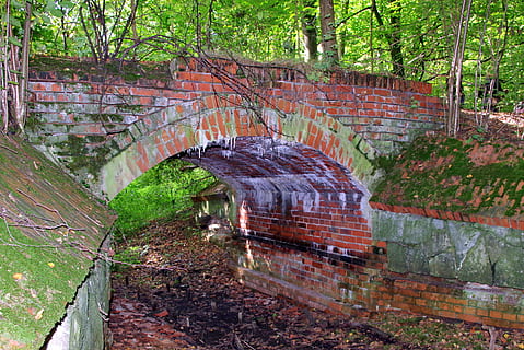 pod, pădure, cărămidă, vechi, olandeză, putred, canal, uscat, copac, plantă, arhitectură, construită, zi, natură, nici o persoana, creştere, abandonat, perete, apă, arc, teren, în aer liber, Culoarea verde, montare pe perete, zid de cărămidă, deteriorat, ruinat, apă curgătoare, 4K, CC0, domeniu public, fără drepturi de autor