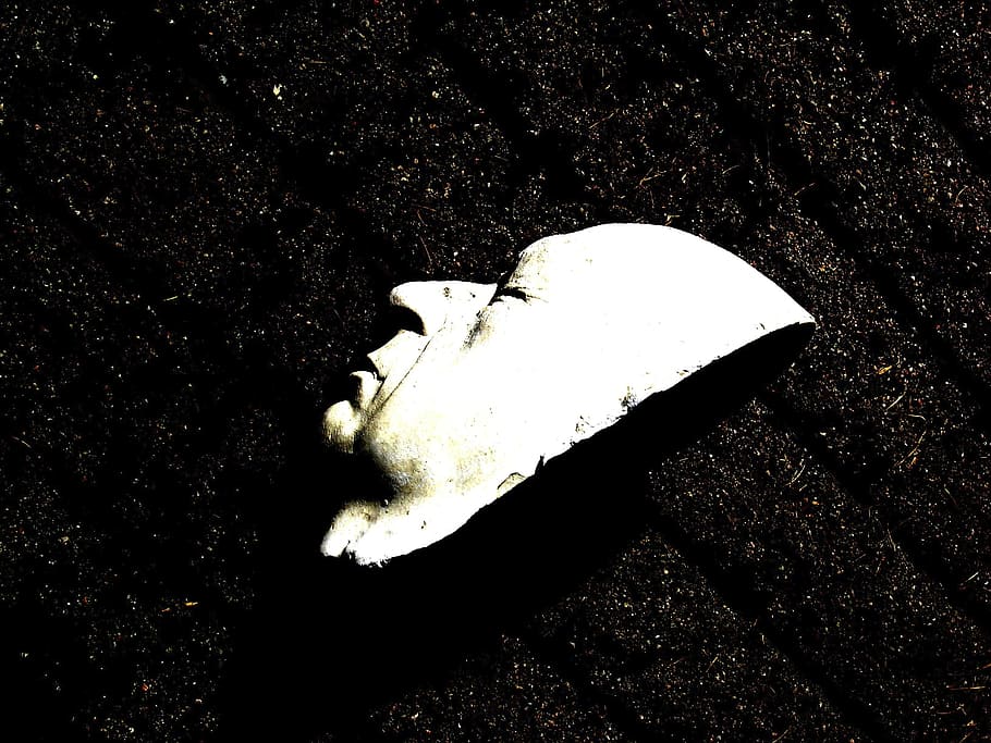 testa di gesso, maschera, viso, capo, gesso, scultura, modello, nessuno, avvicinamento, natura, vista dall'alto, giorno, terra, all'aperto, Colore bianco, campo, animale, singolo oggetto, abbandonato, parte del corpo animale, solido, fauna selvatica, luce del sole, bellezza nella natura, natura morta, cibo, 2K