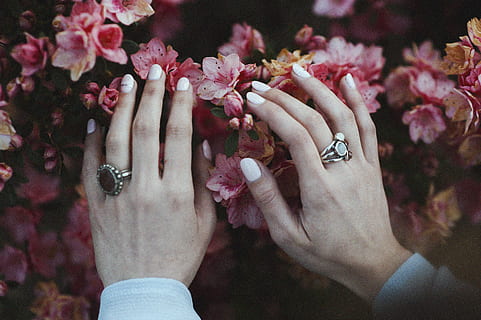 pessoa, segurando, Rosa, flores, tocando, flor pétala, mãos, Primavera, mão humana, mulheres, pessoas, natureza, fechar-se, flor, fêmeas, Casamento, parte do corpo humano, celebração, adulto, apenas adultos, mão, anel, planta com flores, pessoas reais, joalheria, plantar, estilos de vida, dedo humano, dedo, focar em primeiro plano, parte do corpo, frescura, atividade de lazer, unha, 4K, CC0, domínio público, royalty free