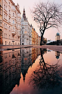 Praga, República Tcheca, corpo, agua, branco, Castanho, concreto, prédios, árvore, dia, construção, poça, arquitetura, exterior do edifício, reflexão, estrutura construída, beira-mar, cidade, céu, natureza, religião, simetria, lago, crença, local de culto, espiritualidade, destinos de viagem, ninguém, ao ar livre, 4K, CC0, domínio público, royalty free