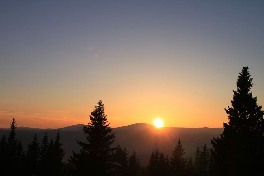 fred, gorj, muntanya, taronja, ranca, romania, neu, sol, posta de sol, blanc, hivern, arbre, silueta, escena tranquil·la, naturalesa, cel, bellesa a la natura, tranquil·litat, planta, escenics - natura, color taronja, idíl·lic, cap gent, escena no urbana, llum solar, creixement, còpia espai, a l'aire lliure, paisatge, arbre de coníferes, pi, 4K