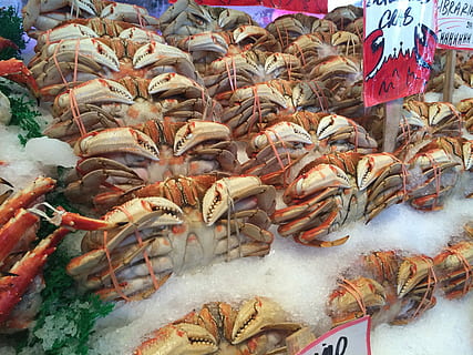 rojo, blanco, cangrejos, Mariscos, comida, mercado, mar, pescadería, pez, cangrejo, frescura, de venta, Al por menor, comida y bebida, gran grupo de animales, en venta, abundancia, día, alimentación saludable, bienestar, venta, nadie, gran grupo de objetos, puesto en el mercado, alimentos crudos, elección, arreglo, orden, al aire libre, exhibición al por menor, industria pesquera, 2K, CC0, dominio público, libre de derechos