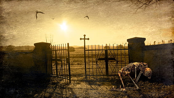 squelette, ouvrir, porte, fantaisie, cimetière, contribution, traverser, lumière, rétro-éclairage, chauve souris, mystique, composition, montage photo, atmosphère, bizarre, mysticisme, sombre, mystérieux, ambiance, mort, scène, a genou, retour à la maison, ombre, fugacité, atmosphérique, la magie, fantastique, image de fantaisie, surréaliste, rêver, terrifiant, foncé, dramatique, éclairage, drame, paysage, Soleil, jaune, soleil couchant, architecture, ciel, la nature, structure construite, personne, oiseau, thèmes animaux, vertébré, extérieur du bâtiment, vieux, éclairage public, animal, frontière, clôture, rue, barrière, en plein air, en volant, bâtiment, effet texturé, 4K, CC0, domaine public, libre de droits