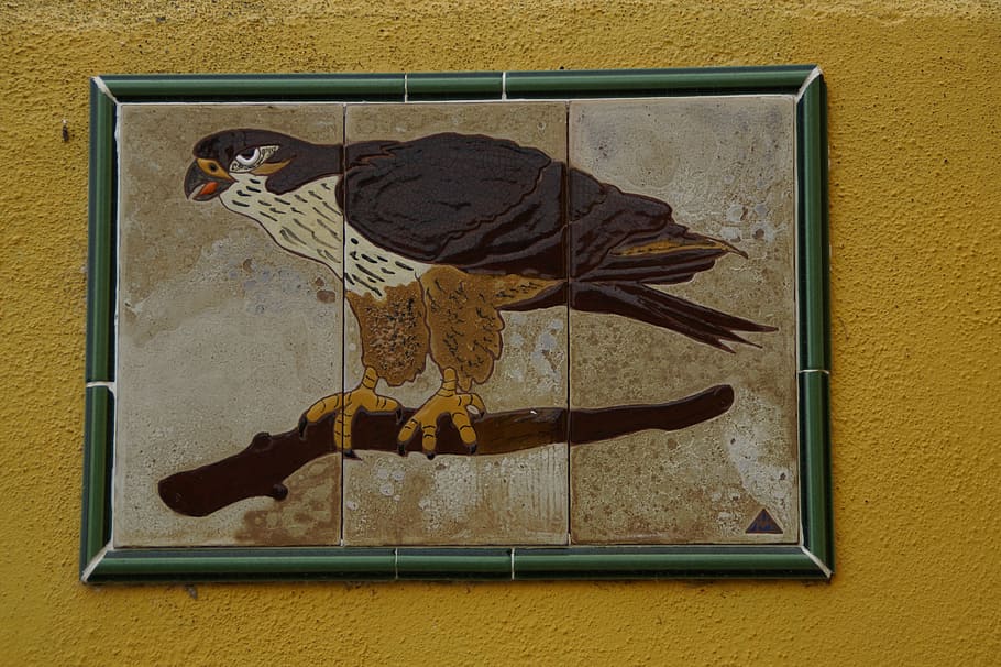 buzzard, ocell, imatge, raptor, rapinyaire, animal, avió comuna, rajoles, funció de construcció de parets, cap gent, dia, groc, directament a sobre, a l'aire lliure, representació, creativitat, finestra, art i artesania, naturalesa, temes d'animals, estructura construïda, ombra, primer pla, un animal, representació animal, vista d’angle alt, 5K