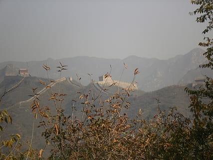 paret, Xina, Beijing, muntanya, bellesa a la natura, planta, escenics - natura, escena tranquil·la, tranquil·litat, naturalesa, cel, medi ambient, creixement, paisatge, cap gent, Serra, escena no urbana, dia, boira, idíl·lic, terra, vertebrats, 4K, CC0, domini públic, lliure de regalies