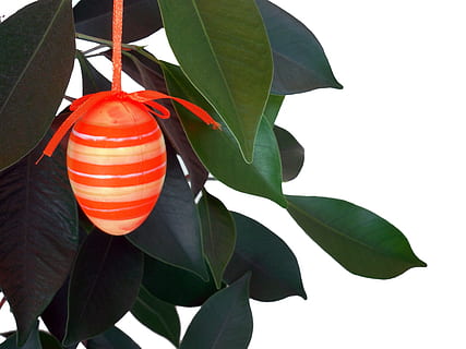 easter, easter egg, easter bouquet, easter greeting, decoration, happy easter, easter theme, leaf, plant part, close-up, green color, no people, nature, growth, red, plant, freshness, white background, hanging, day, low angle view, outdoors, studio shot, celebration, beauty in nature, leaves, 2K, CC0, public domain, royalty free