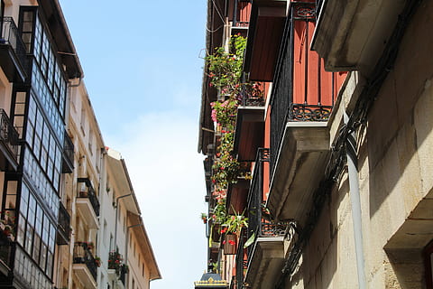 stare Miasto, bilbao, euskadi, architektura, Miasto, ulice, na zewnątrz budynku, zbudowana struktura, budynek, dzielnica mieszkaniowa, niski kąt widzenia, dzień, okno, żadnych ludzi, Natura, niebo, na dworze, światło słoneczne, dom, roślina, balkon, funkcja budowy ścian, czyste Niebo, aleja, apartament, 5K, CC0, domena publiczna, darmowe zdjęcia