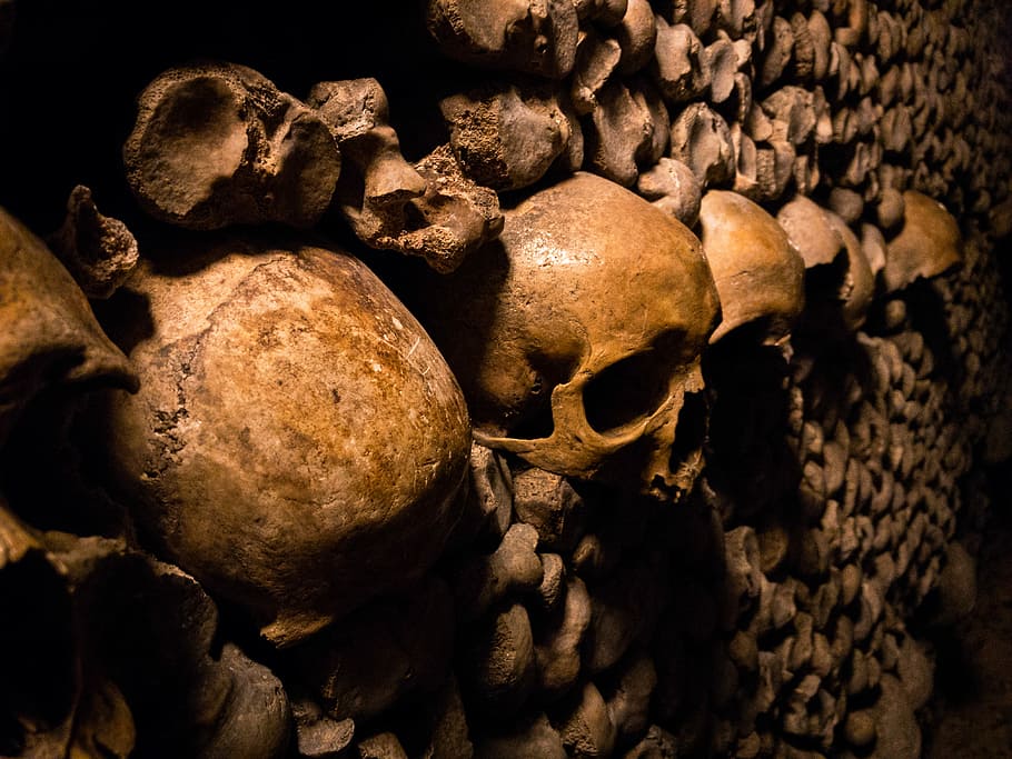 skelet skulls, Brun, kranium præg indretning, kranium, knogle, skelet, grav, mørk, menneskeskalle, menneskeligt skelet, humant knogle, historie, fortiden, stor gruppe af objekter, indendørs, arkitektur, tæt på, natur, stilleben, uhyggelig, menneskelig repræsentation, repræsentation, stak, arkæologi, 4K