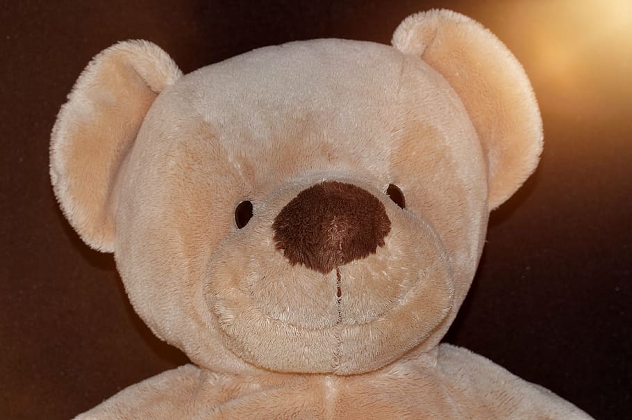 Bamse, blød, fluffy, populær, beige, portræt, belysning, tæt, tøjdyr, legetøj, tæt på, repræsentation, indendørs, barndom, Brun, studio skud, træ - materiale, farvet baggrund, kreativitet, menneskelig kropsdel, emotion, blødhed, kropsdel, stilleben, mennesker, sort baggrund, 4K