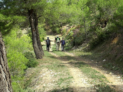 montagna, sentiero, a piedi, all'aperto, escursioni a piedi, pista, sentiero d'escursionismo, persone, traccia, escursione, avventura, albero, pianta, attività di svago, persone reali, natura, crescita, uomini, giorno, stili di vita, terra, retrovisore, gruppo di persone, foresta, attività, lunghezza intera, direzione, 4K, CC0, dominio pubblico, privo di copyright
