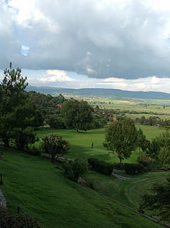 skyer, luft, Mark, himmel, baggrund, vind, fred, udendørs, frisk luft, natur, horisont, slap af, træ, plante, sky - himmel, grøn farve, skønhed i naturen, rolig scene, ro, græs, miljø, scenics - natur, landskab, vækst, dag, jord, ingen mennesker, ikke-urbane scene, idyllisk, 2K, CC0, offentligt domæne, royaltyfrie