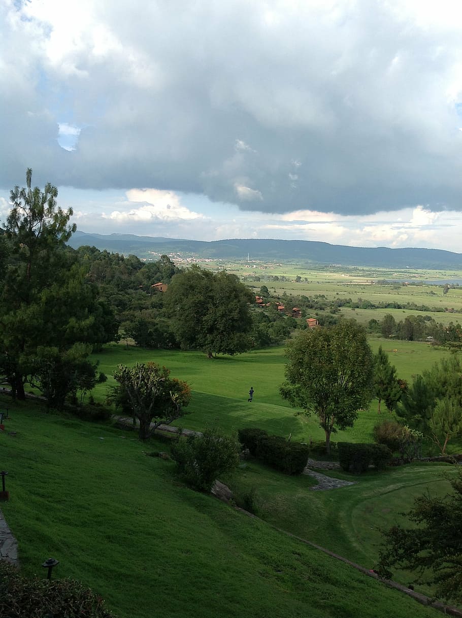 nuvole, aria, campo, cielo, sfondo, vento, pace, all'aperto, aria fresca, natura, orizzonte, rilassare, albero, pianta, nuvola - cielo, colore verde, bellezza nella natura, scena tranquilla, la tranquillità, erba, ambiente, scenics - natura, paesaggio, crescita, giorno, terra, nessuno, scena non urbana, idilliaco, 2K