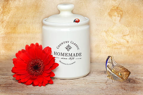 contenidor, melmelada, gerbera, contenidor de melmelada, flor, florir, vermell, papallona, marieta, deco, decoratiu, tancar, material de fusta, ampolla, aromateràpia, jar, cap gent, a l'interior, planta amb flors, planta, text, menjar, guió occidental, menjar i beguda, benestar, naturalesa, frescor, bellesa, tir de l'estudi, estil de vida saludable, primer pla, 5K, CC0, domini públic, lliure de regalies