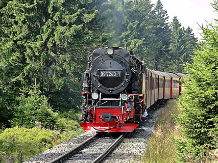 rot, schwarz, Zug, Geländer, umgeben, Bäume, Technologie, Fahrt, Natur, Bahngleis, Zug - Fahrzeug, Transport, Dampflokomotive, Schienenverkehr, Baum, Spur, Transportmittel, öffentliche Verkehrsmittel, Pflanze, grüne Farbe, Lokomotive, Tag, Wachstum, Land, Bewegung, keine Leute, Reise, draußen, 2K, CC0, gemeinfrei, lizenzfrei