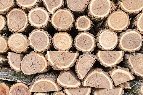 Pozadí, design, dřevo, log, palivové dříví, dřevařský průmysl, zásobník, dřevo - materiál, odlesňování, les, celý rám, velká skupina objektů, strom, otázky životního prostředí, paliva a energie, hojnost, nikdo, uspořádání, Příroda, den, venku, sekaný, strom prsten, 4K, CC0, veřejná doména, bez autorských práv