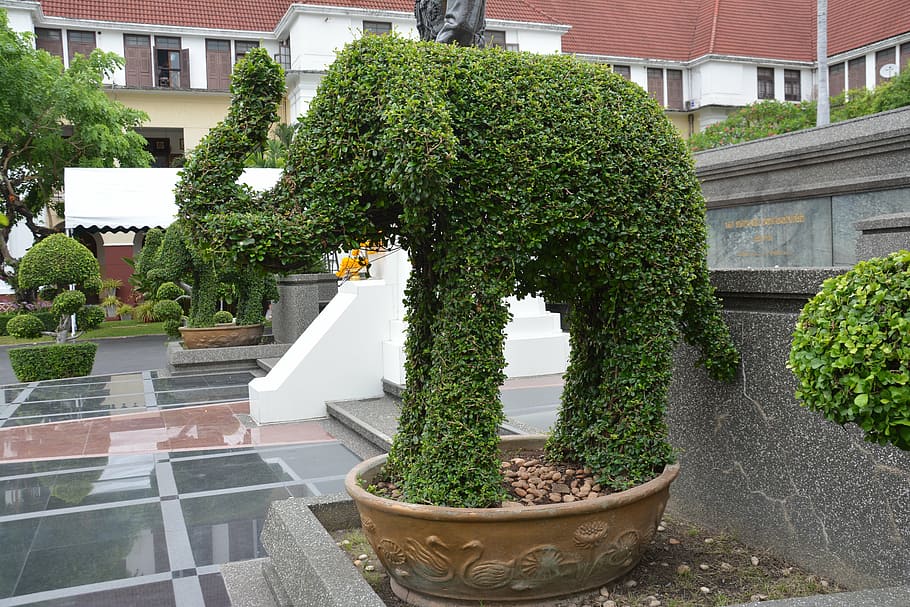 topiary, slon, živý plot, list, zvíře, design, park, zelená, střih, tvar, keř, zahrada, kultivovaný, botanický, dekorace, kufr, rostlina, sochařství, práce na zahradě, růst, krajina, dekorativní, ornamentální, struktura, ornament, nikdo, venkovní, listy, architektura, stavba, exteriér budovy, hrnkové rostliny, budova, den, zelená barva, Příroda, strom, Dům, venku, rezidenční čtvrti, bonsai strom, okno, město, nástěnný prvek, květináč, nádvoří, 5K